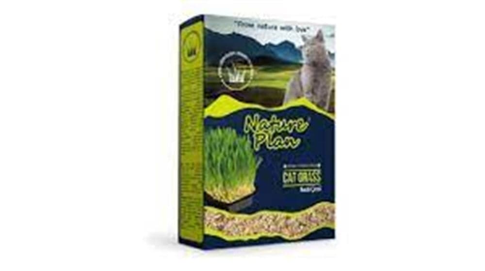 NATURE PLAN KEDİ ÇİMİ