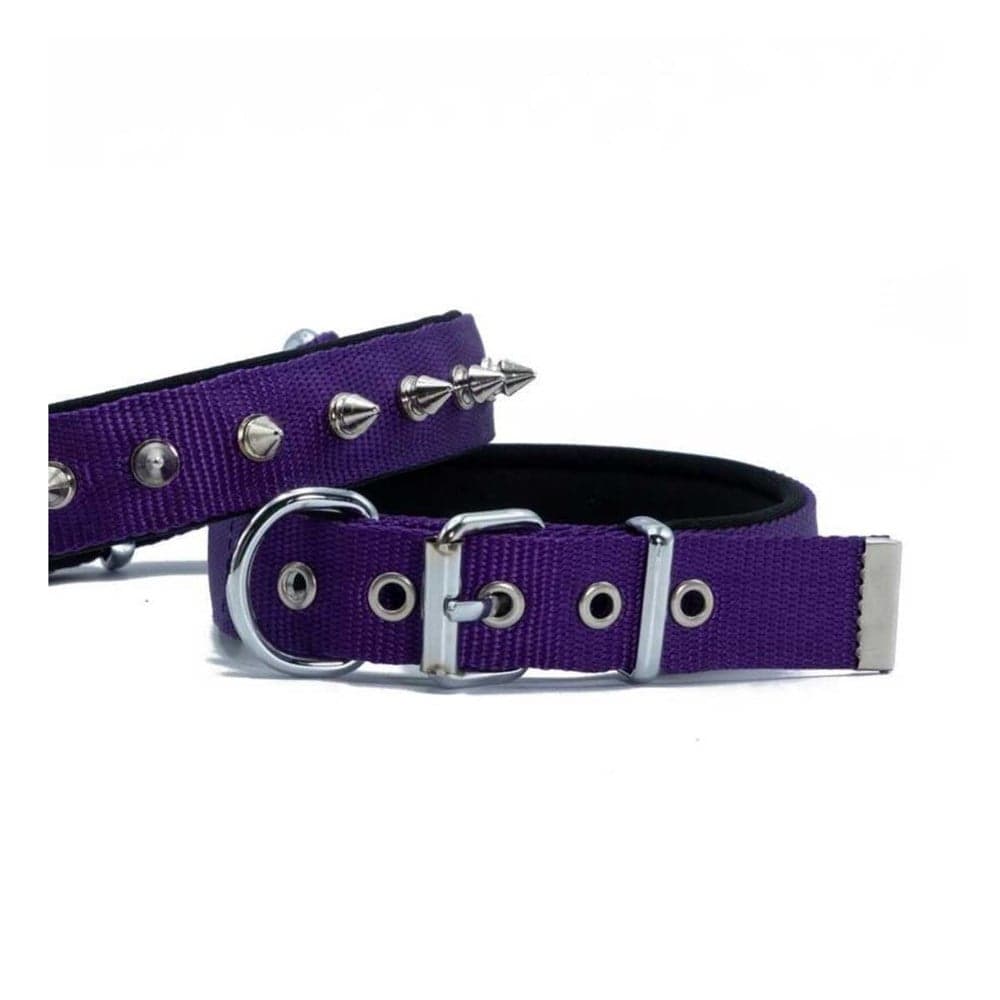 DOGGİE KONFOR DOKUMA ÇİVİLİ BOYUN TASMASI MOR 3X47-55CM