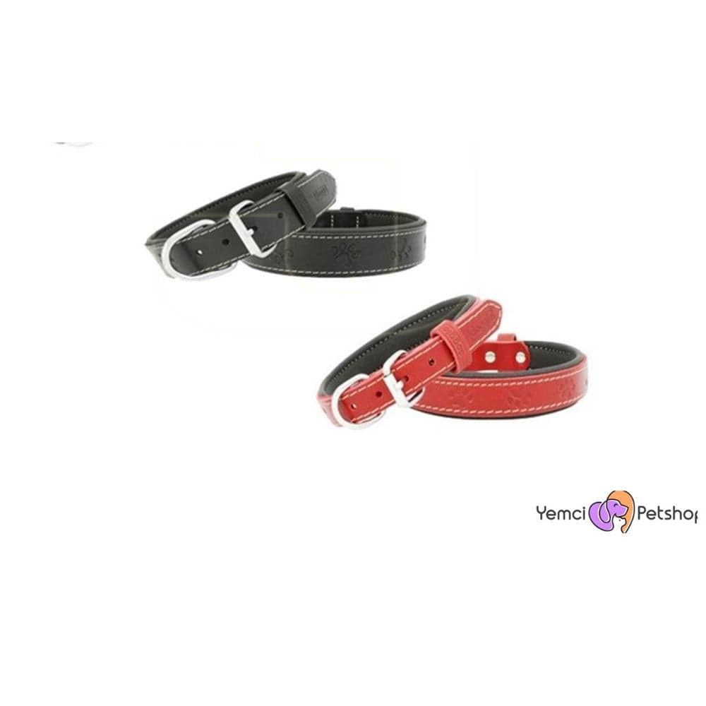 Karışık Renkli̇ Deri̇ Ekonomi̇k Köpek Boyun Tasması 3.5 X 59 Cm
