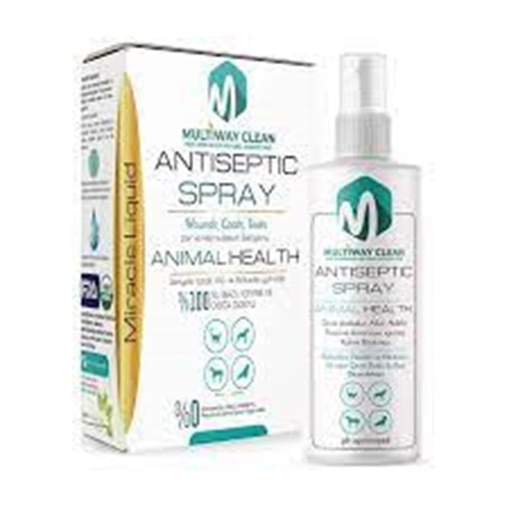 MULTİWAY CLEAN 100 ML