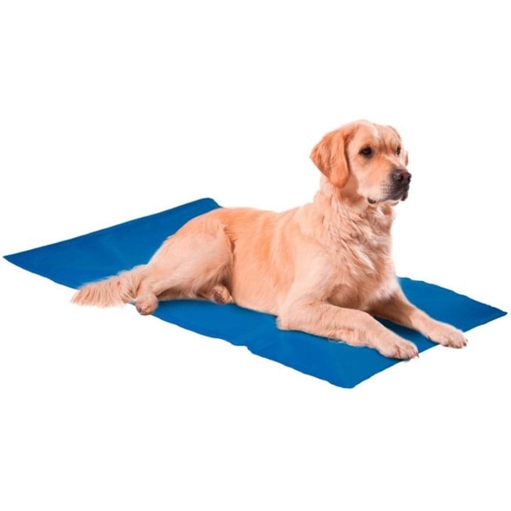 Nunbell Serinleticili Köpek Yatağı XXLarge 50x90 cm Mavi